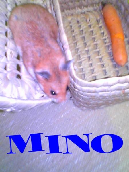 si tu mentend revien a ta maison tu nous a  bcp manqu� MINO